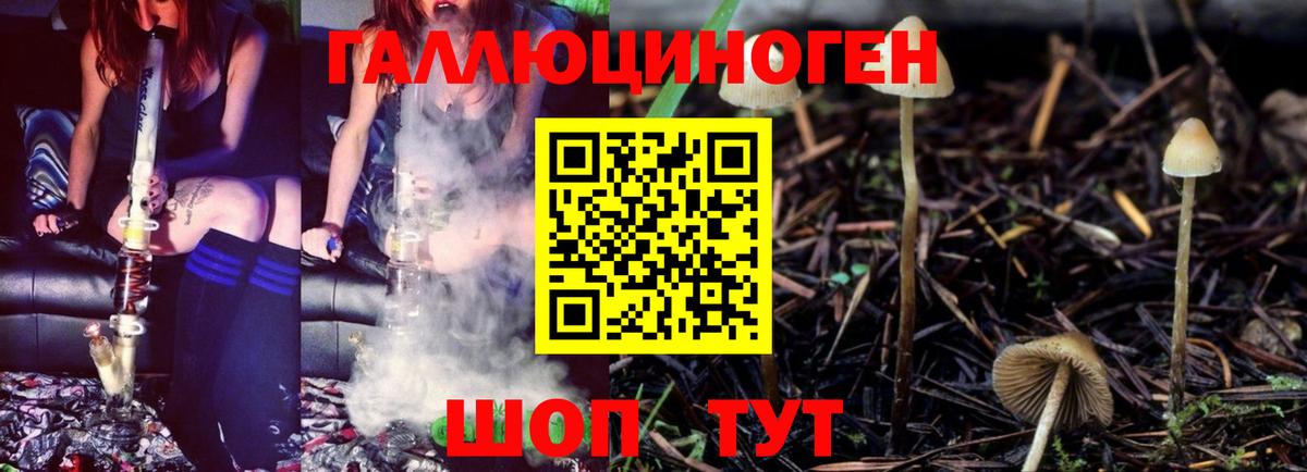 Вичуга  Галлюциногенные грибы Psilocybine cubensis  Вход с VPN  Псилоцибиновые грибы Psilocybe 